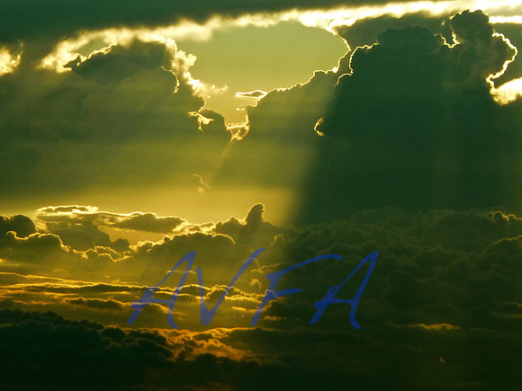 AVFA342