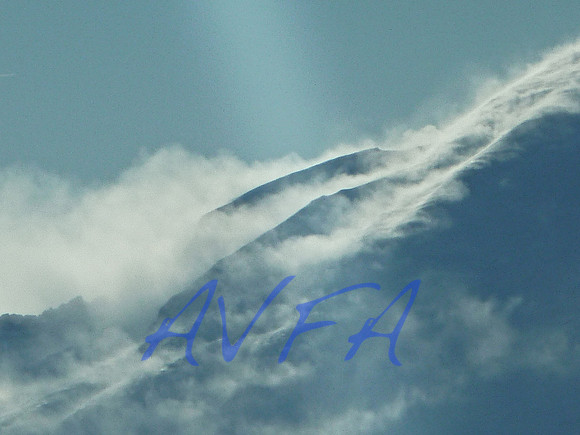 AVFA304