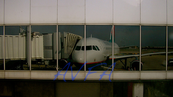 AVFA225