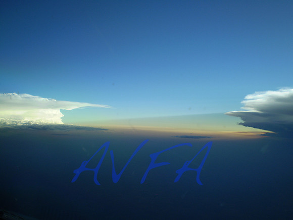 AVFA1100