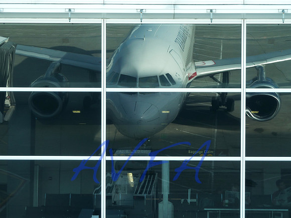 AVFA293