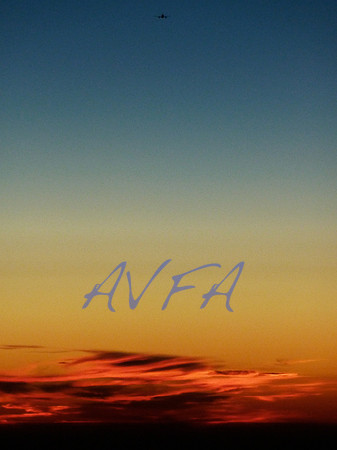 AVFA317