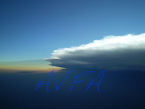 AVFA1101
