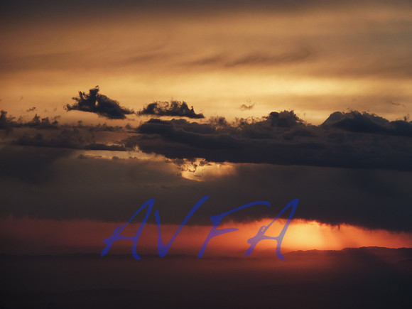 AVFA905