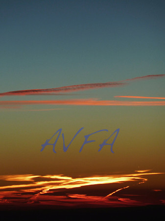 AVFA80051