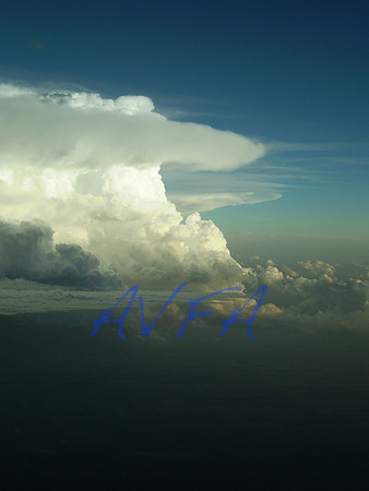 AVFA1106