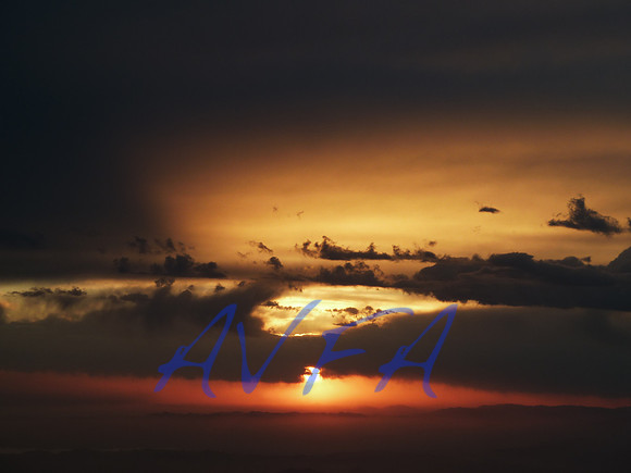 AVFA911