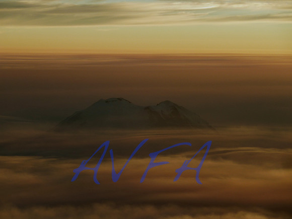 AVFA50466