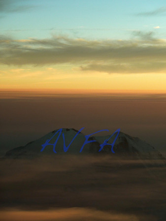 AVFA50471