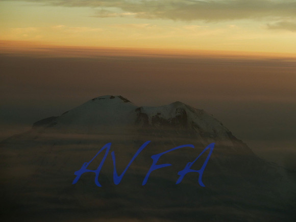 AVFA50473