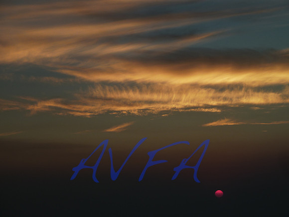 AVFA50495