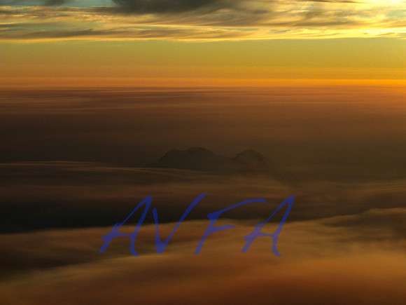 AVFA50463