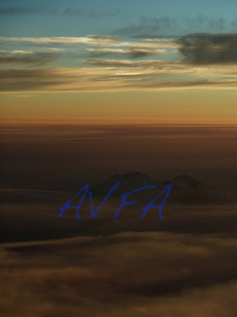 AVFA50465