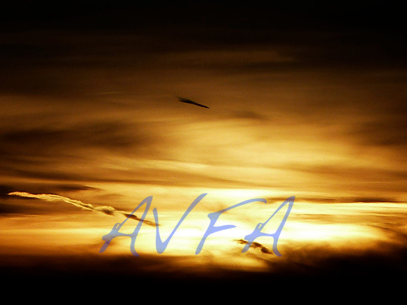 AVFA50530