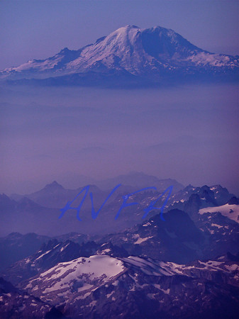 AVFA50577