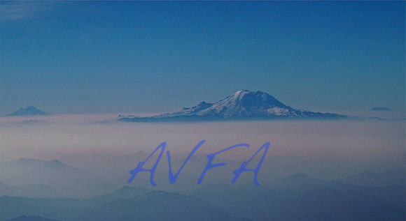 AVFA50585