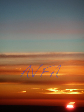 AVFA1012