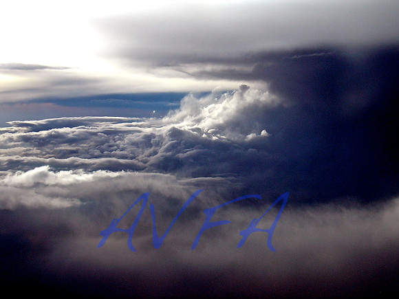 AVFA94