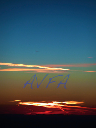 AVFA80042