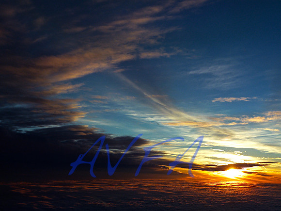AVFA60117