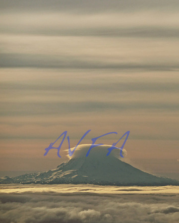 AVFA60613