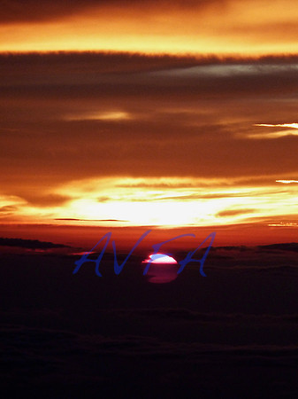 AVFA4851