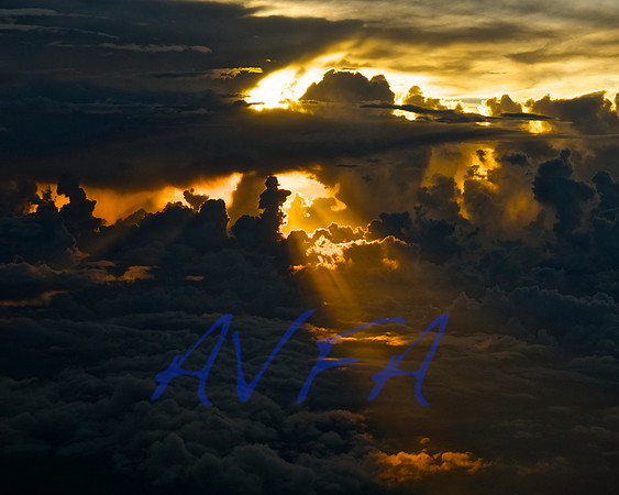 AVFA102036 - Version 3