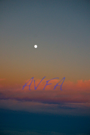 MOON OVER LINE
