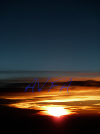 AVFA70297