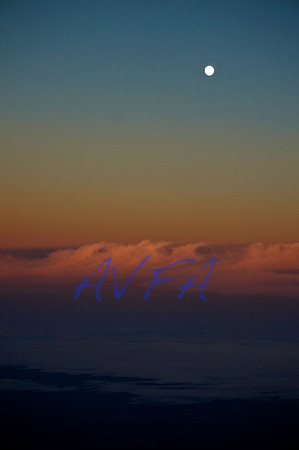HIGH MOON