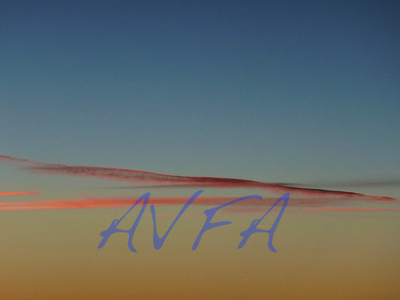 AVFA80053