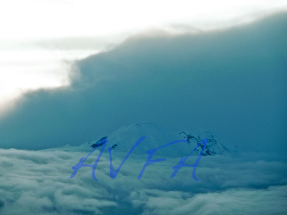AVFA558