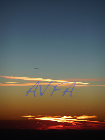 AVFA80045