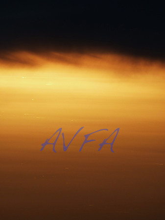 AVFA70959