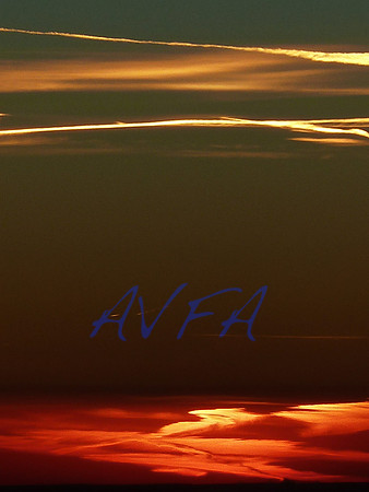 AVFA80041