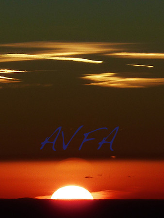 AVFA80031