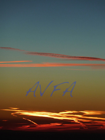 AVFA80051