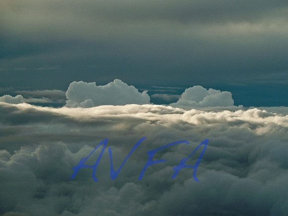 AVFA561