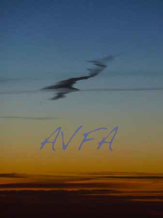AVFA80056