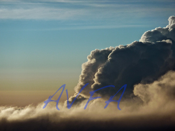 AVFA348