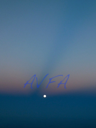 Moon Beam