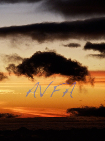 AVFA404