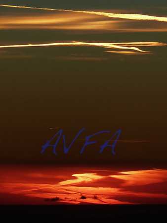 AVFA80038