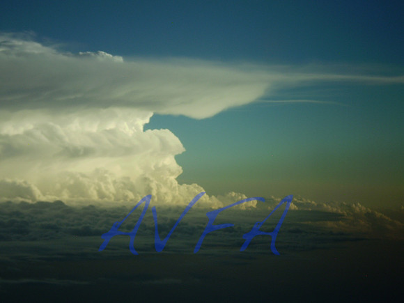 AVFA1104