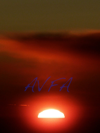 AVFA382