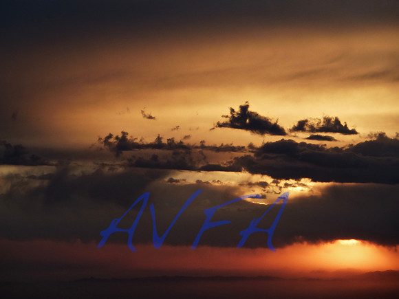 AVFA907