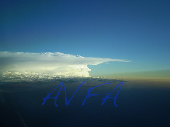 AVFA1102