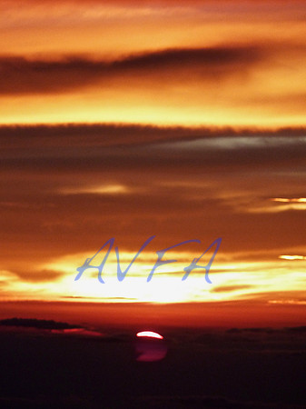AVFA4852