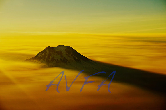 MT RAINIER SHADOW