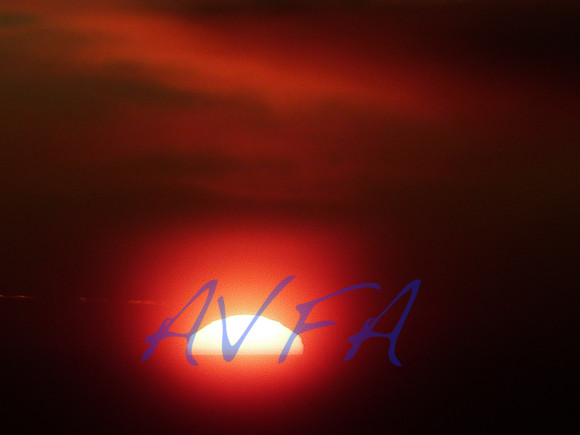 AVFA381